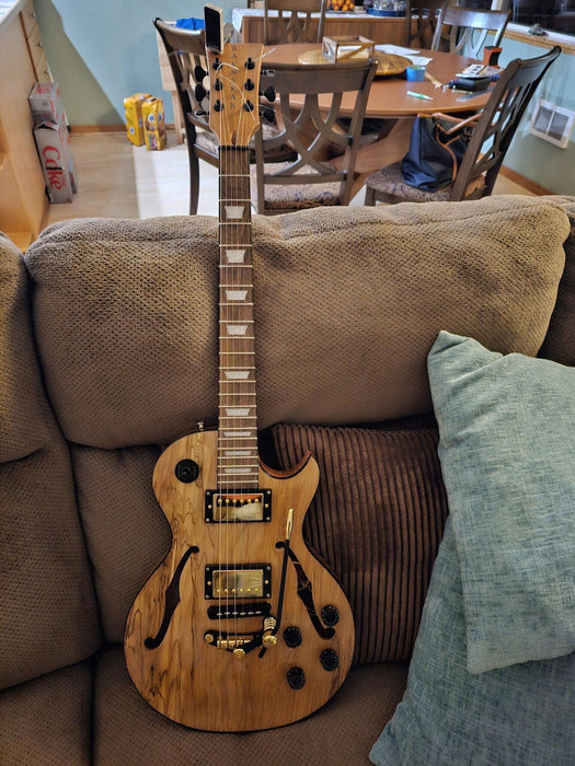 Semi Hollow Body LP Standard DIY Electric Guitar Kit (PLP-525F)