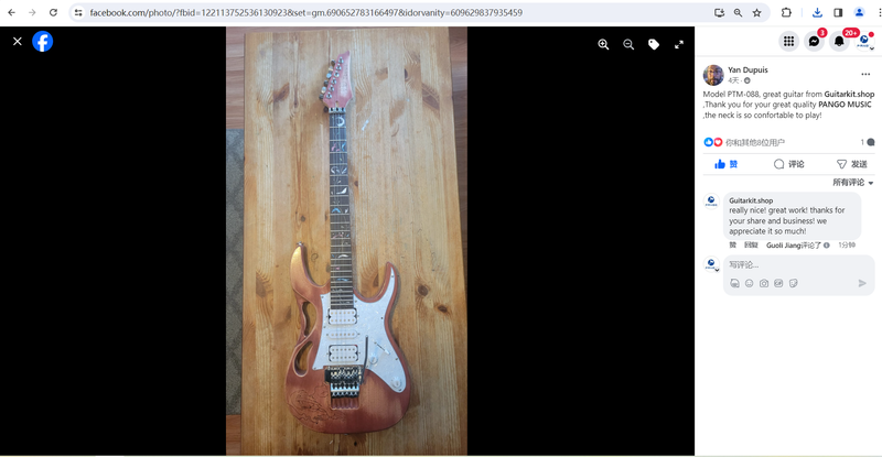 PANGO MUSIC 6 String DIY Electric Guitar Kit (PTM-088X)
