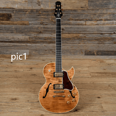 Custom Design Semi Hollow Body Electric Guitar ( 2024-11-15 )