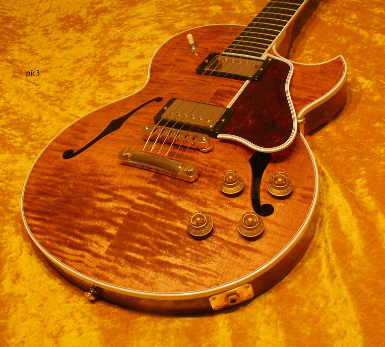 Custom Design Semi Hollow Body Electric Guitar ( 2024-11-15 )