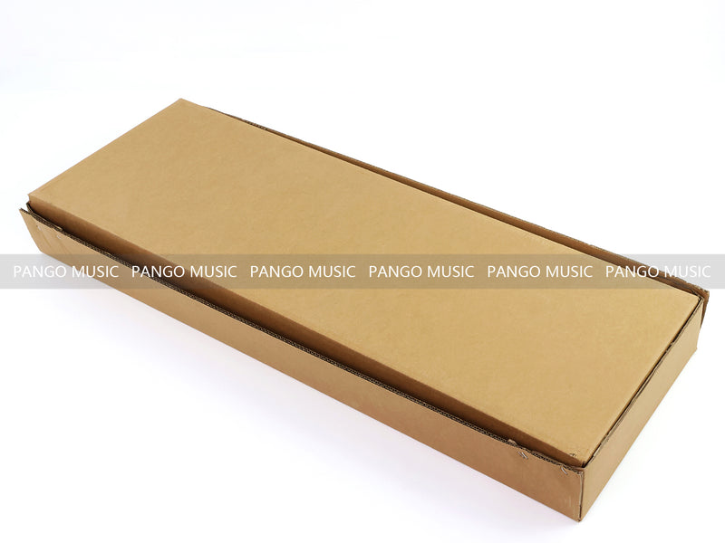 PANGO Music 12-String Semi-Hollow Body Electric Guitar (YMZ-230)
