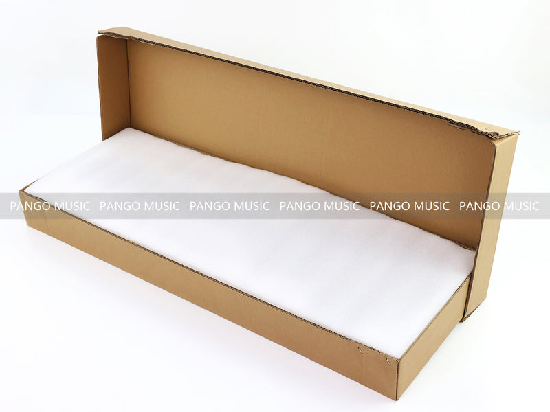 PANGO Music 12-String Semi-Hollow Body Electric Guitar (YMZ-230)