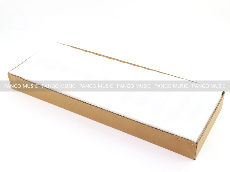PANGO Music 12-String Semi-Hollow Body Electric Guitar (YMZ-230)
