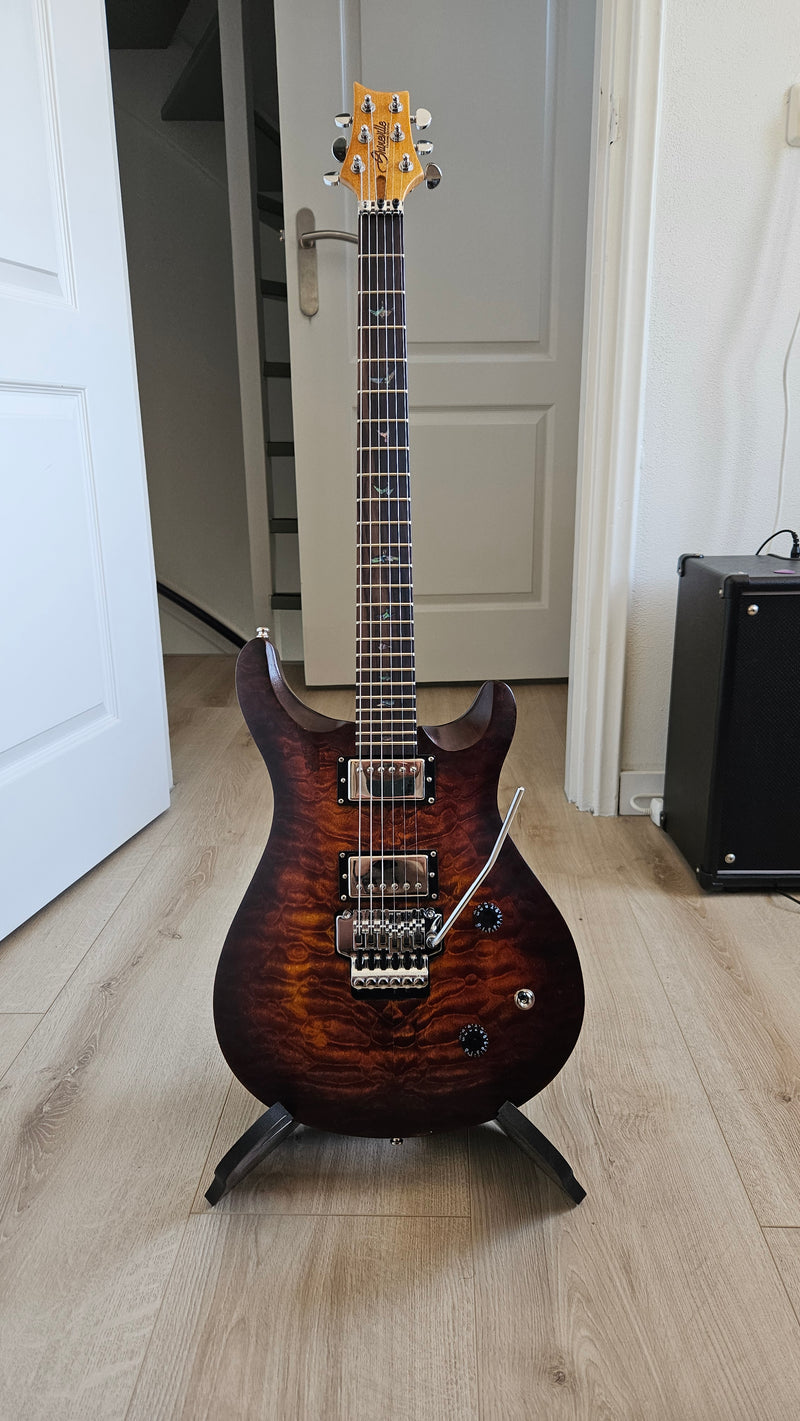 PRS Style DIY Electric Guitar Kit (PRS-716F, Fast Shipping, Tariff-free)