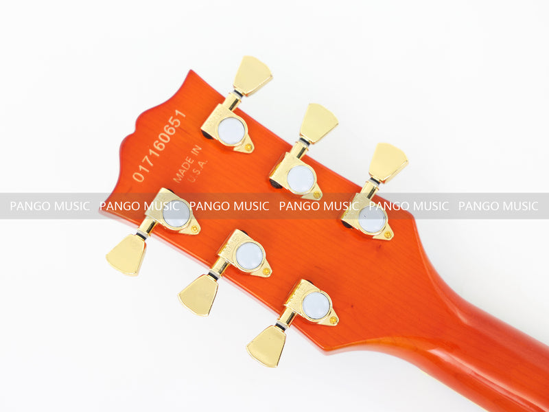 Pango Music Semi Hollow Thin Body Electric Guitar (GKS-160, No Logo)