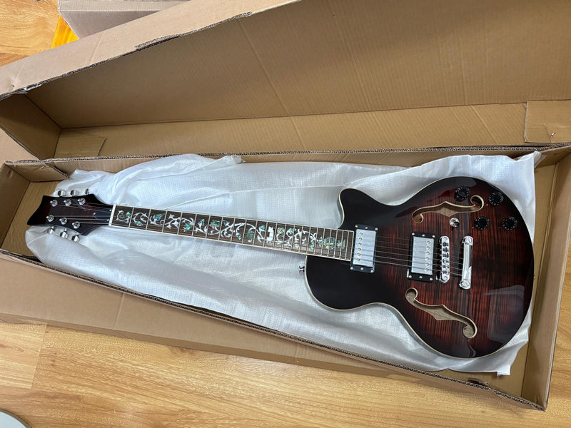Pango Music 6-String Semi-Hollow Body Electric Guitar (YMZ-230-6)