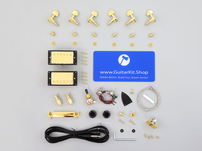Semi-Hollow Body DIY Electric Guitar Kit (PTM-161)