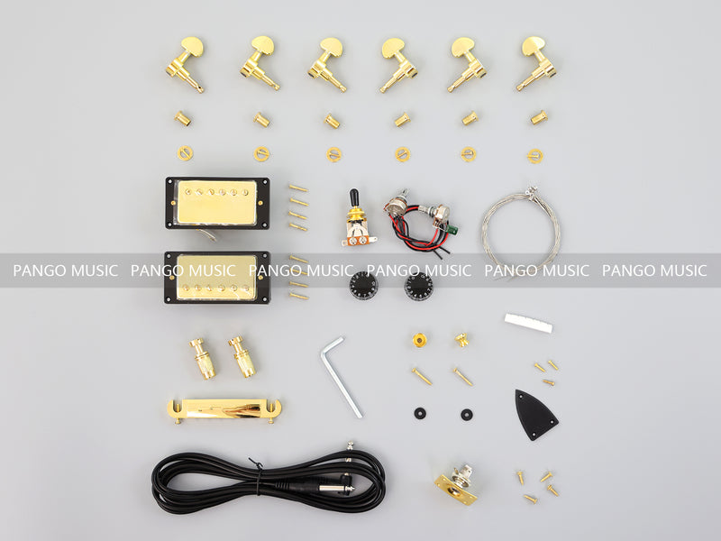 Semi-Hollow Body DIY Electric Guitar Kit (PTM-161)