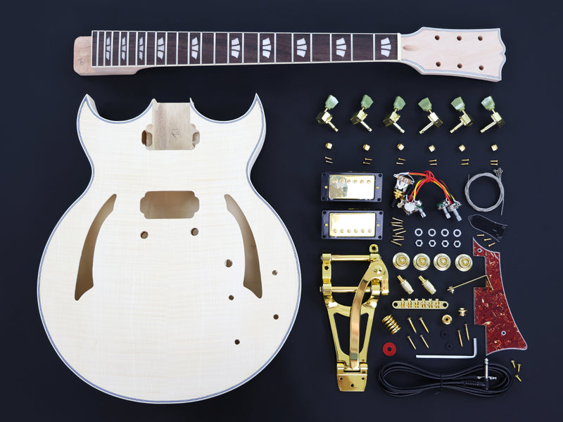 Hollow Body Style DIY Electric Guitar Kit (PHB-730X)