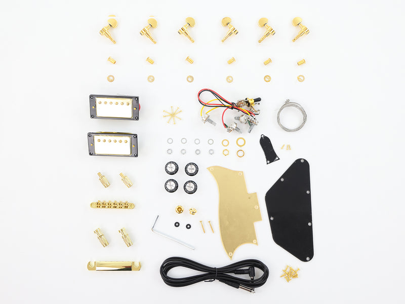 The Hardware of PSG-928 Electric Guitar Kit (PSG-928H)