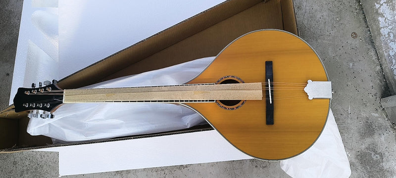 PBZ-004 Custom Design Bouzouki Mandolin( 2025-08-11)