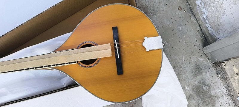 PBZ-004 Custom Design Bouzouki Mandolin( 2025-08-11)