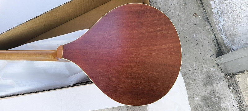 PBZ-004 Custom Design Bouzouki Mandolin( 2025-08-11)