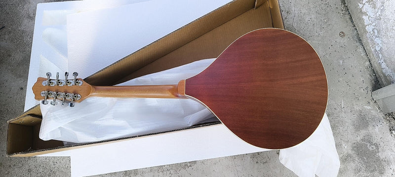 PBZ-004 Custom Design Bouzouki Mandolin( 2025-08-11)