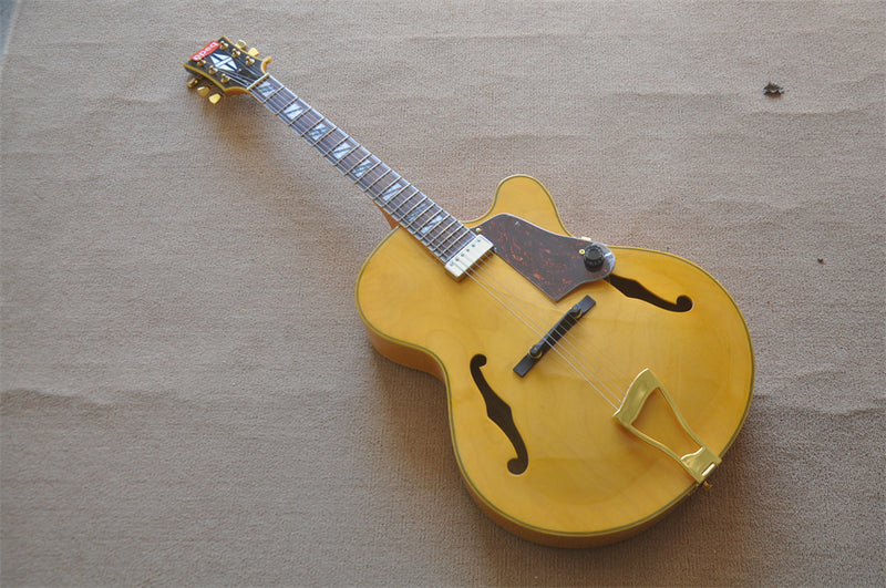 ZQN Series Hollow Body Electric Guitar (ZQN0173)