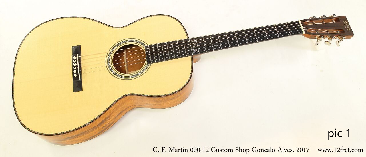 Custom Design Guitar (2023-10-17)