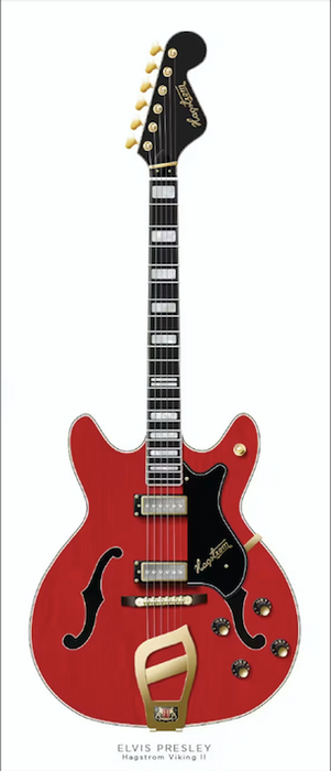 Hagstrom Viking II Custom Design Guitar Kit (2023-09-19)