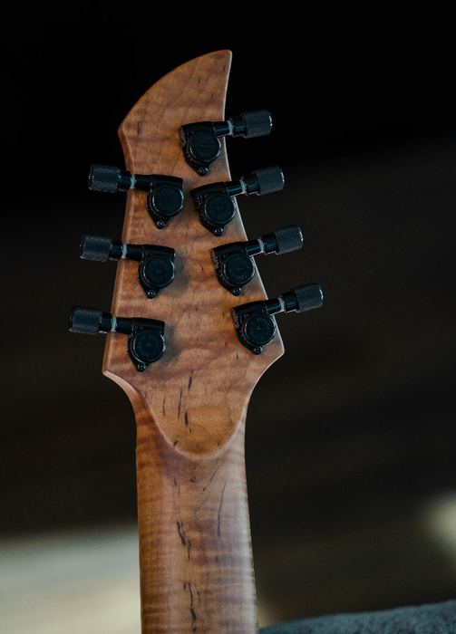 PEX-618 Custom Design Guitar Kit (2023-08-28)