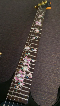 Katana Custom Design Guitar Kit (2023-06-08)