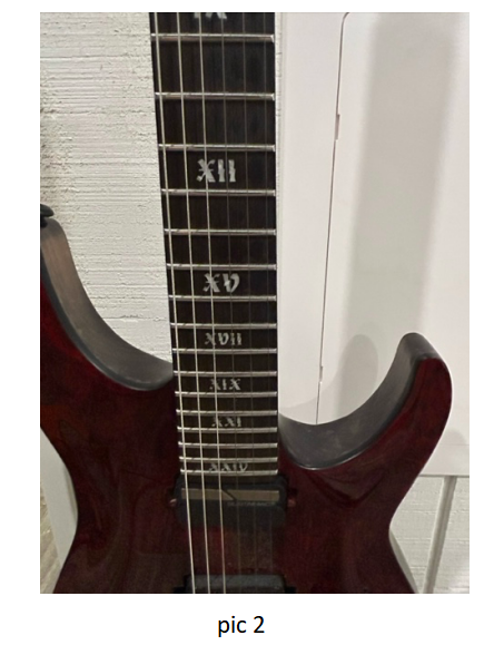 PPK-522 Custom Design Guitar Kit (2023-08-10)