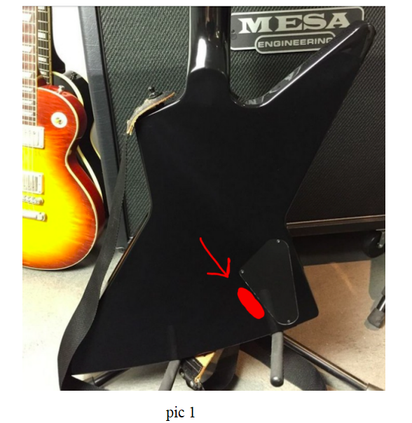 ESP MX250 Style Custom Design Guitar Kit (2023-08-14)
