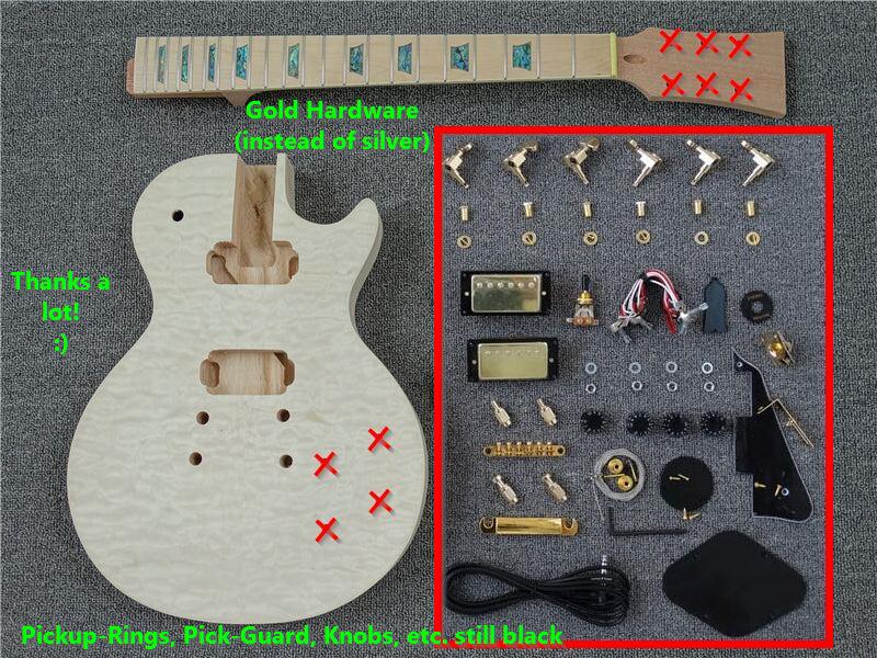 PLP-730 Custom Design Guitar Kit (2023-04-27)