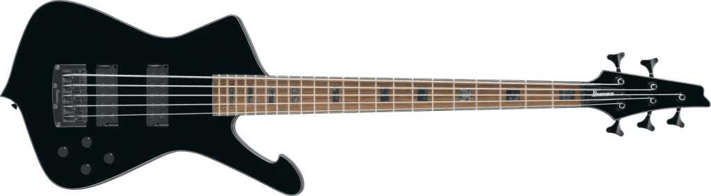 5 Strings Custom Design Bass Kit (2023-12-29)