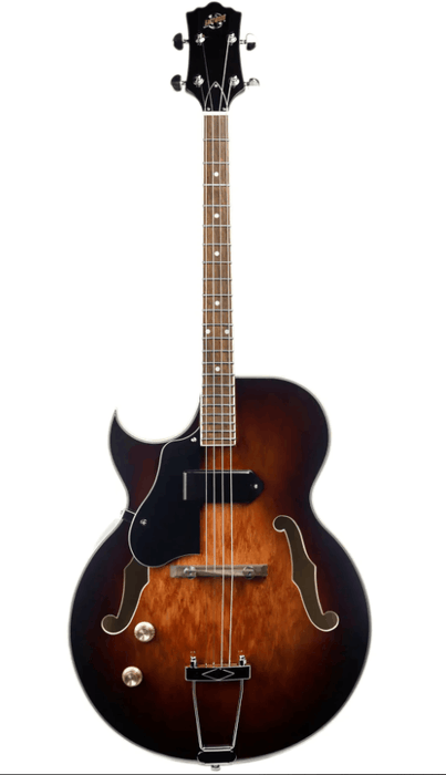 ZQN0170 Custom Design DIY Electric Guitar ( 2024-03-26)