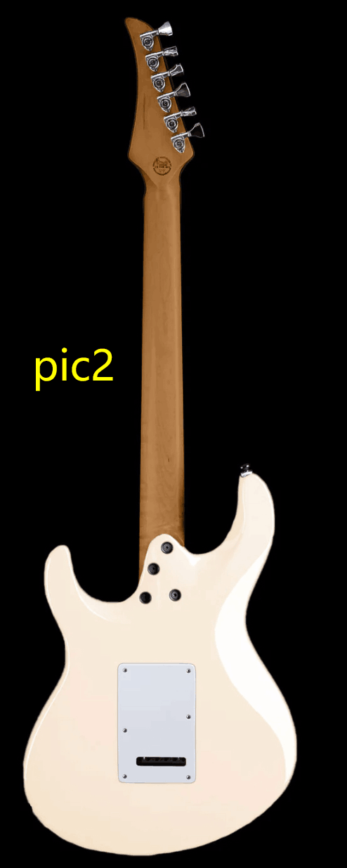 Custom Design Electric Guitar (2025-04-29)
