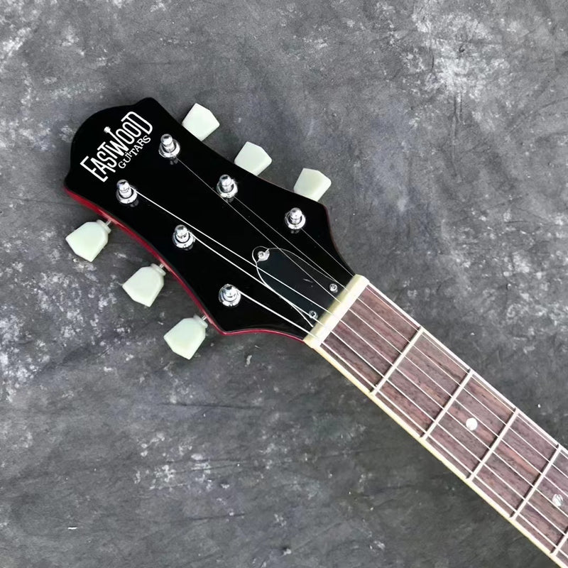 PANGO Music Electric Guitar (YMZ-004)