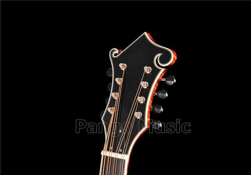 All-Solid Wood Handcrafted F-Style Mandocello (PMB-903)