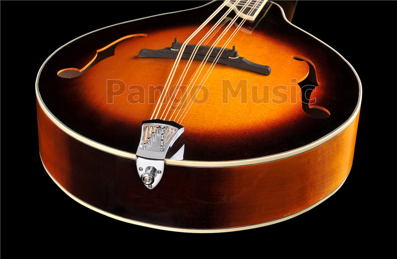 PANGO MUSIC All-Solid Wood Handcrafted A-Style Mandocello (PMB-904)