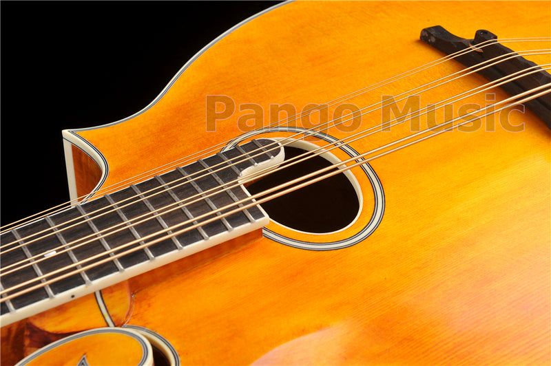 All-Solid Wood Handcrafted F-Style Mandocello (PMB-902)