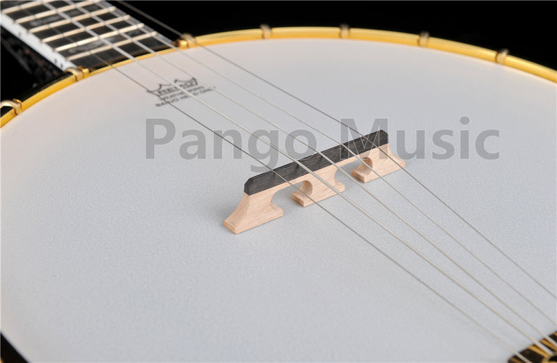 PANGO Music 5-String High Quality Gold Banjo (PBJ-900)