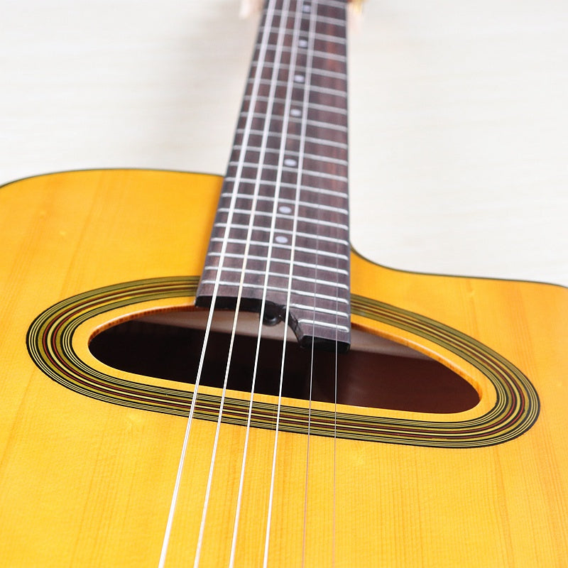 41 Inch Solid Spruce Top/ Rosewood Back & Sides Acoustic Guitar (PM-2023)