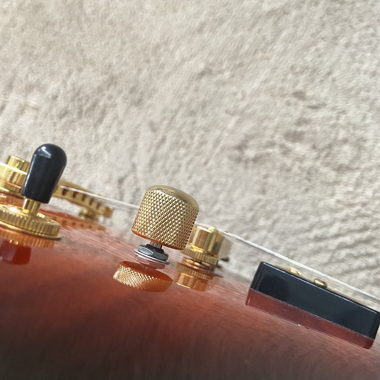 PANGO Music Electric Gutiar for Sale (075)