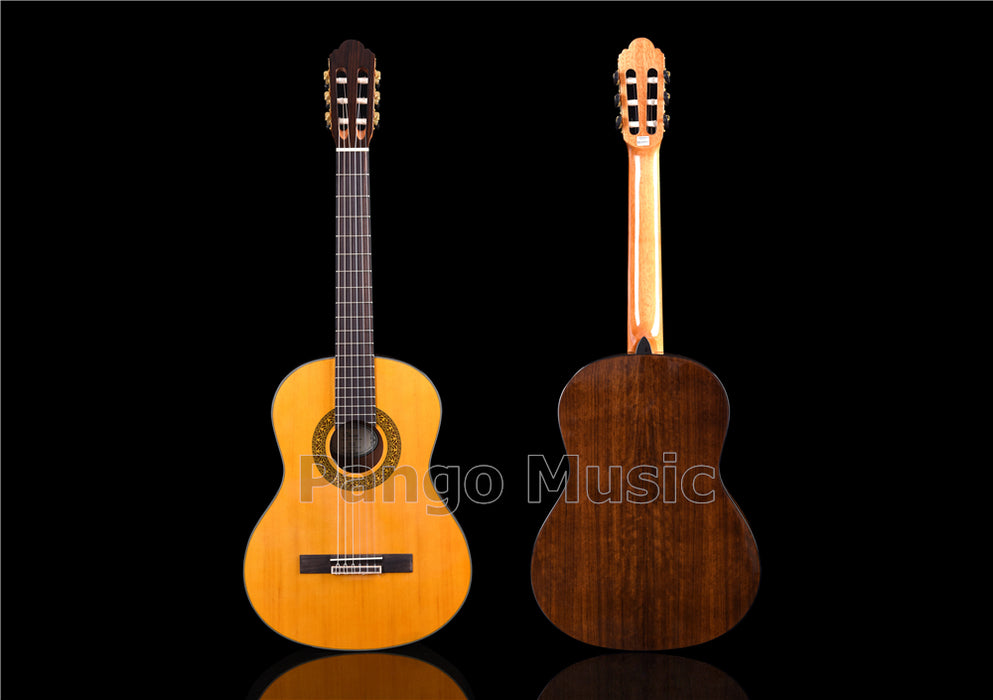 39 inch Spruce Top Classical Guitar (PCL-1602)