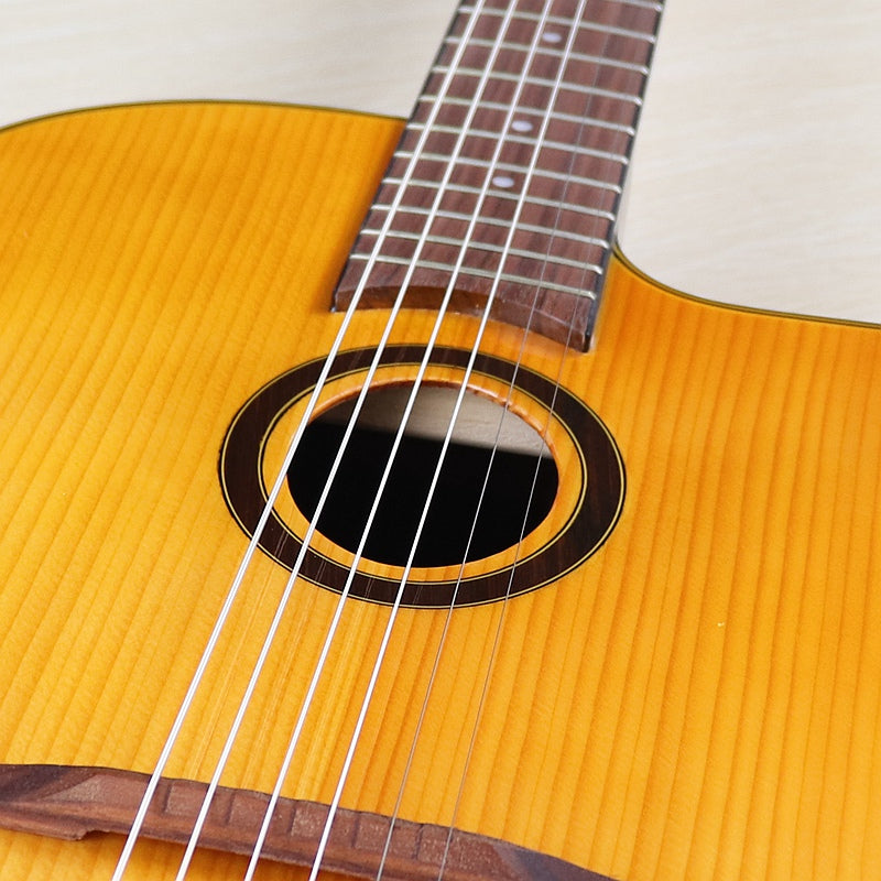 41 Inch Solid Spruce Top/ Rosewood Back & Sides Acoustic Guitar (PM-2022)