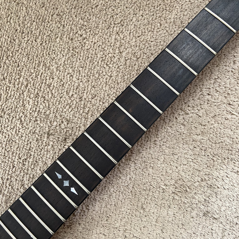 PANGO Music Electric Gutiar with Hard Case (024)