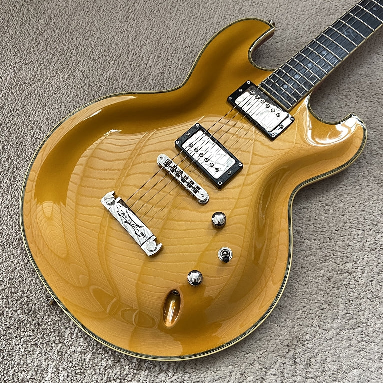 PANGO Music Electric Guitar on Sale (070)