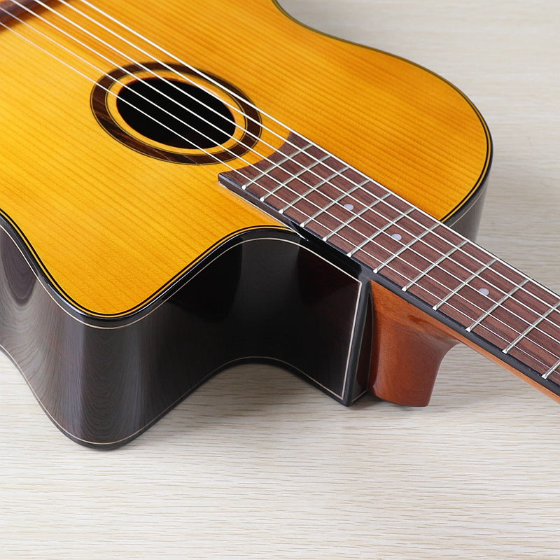 41 Inch Solid Spruce Top/ Rosewood Back & Sides Acoustic Guitar (PM-2022)