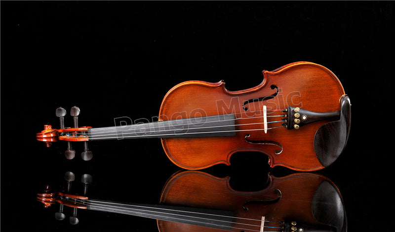 1/2 Violin of Pango Music Factory (PVL-902)