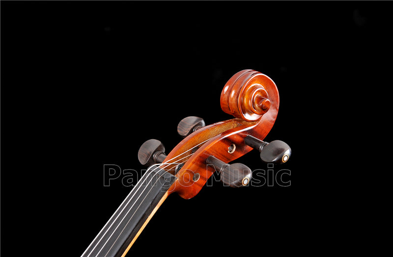 1/2 Violin of Pango Music Factory (PVL-902)