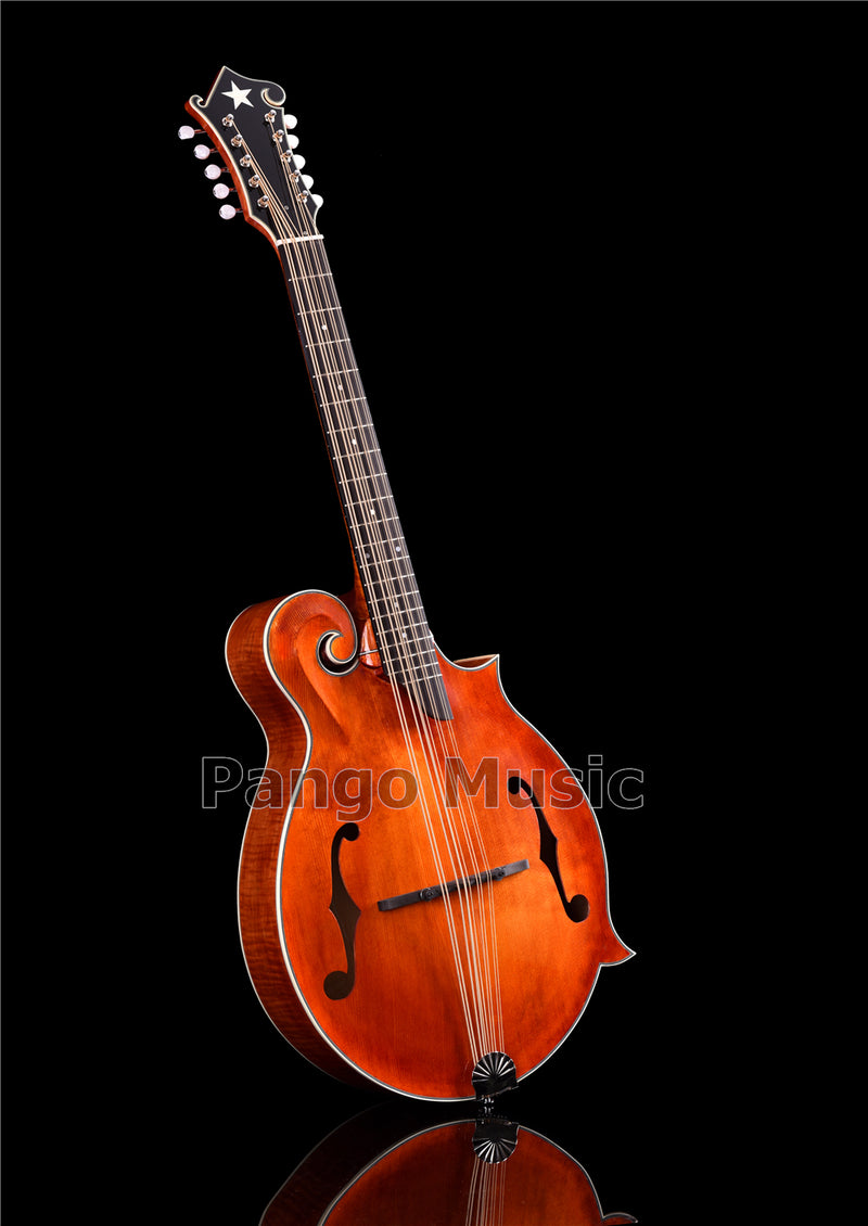Unique 10-string Fully Handcrafted All-Solid Wood F-Style Mandocello (PMB-909)