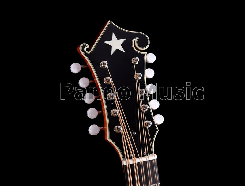 Unique 10-string Fully Handcrafted All-Solid Wood F-Style Mandocello (PMB-909)