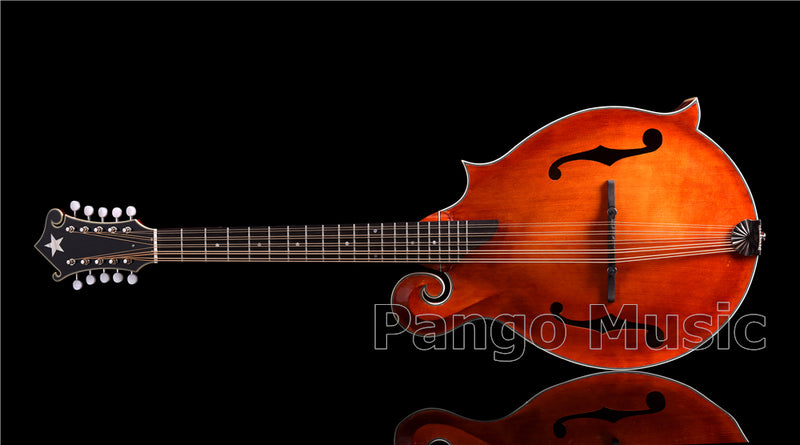 Unique 10-string Fully Handcrafted All-Solid Wood F-Style Mandocello (PMB-909)