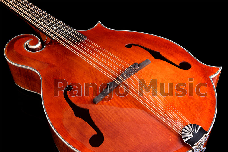 Unique 10-string Fully Handcrafted All-Solid Wood F-Style Mandocello (PMB-909)