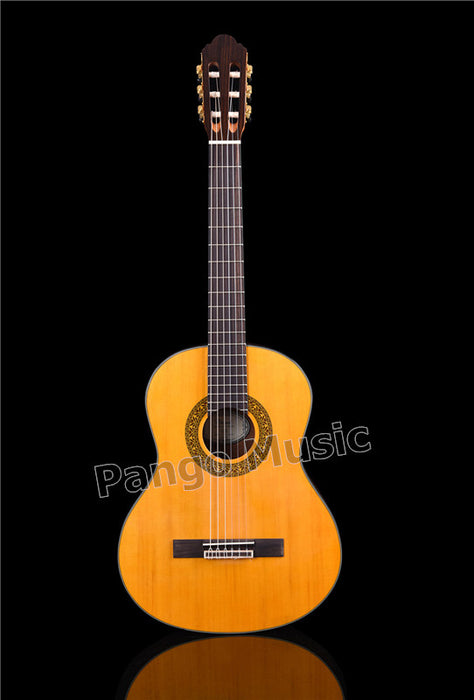 39 inch Spruce Top Classical Guitar (PCL-1602)