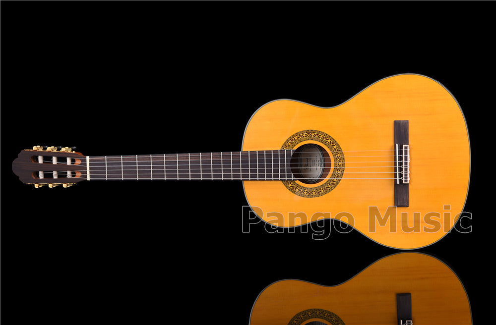 39 inch Spruce Top Classical Guitar (PCL-1602)