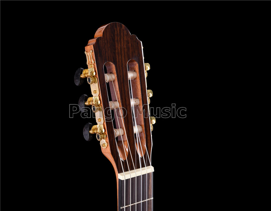 39 inch Spruce Top Classical Guitar (PCL-1602)